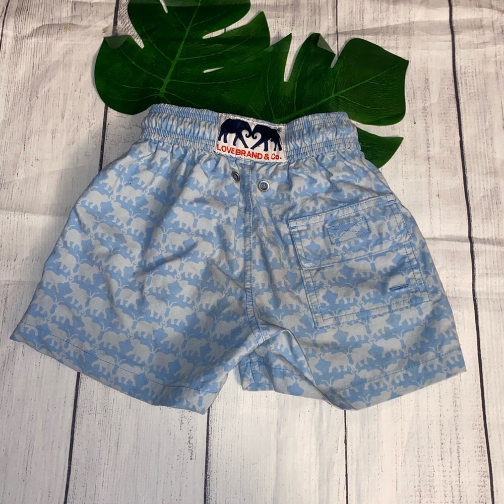 Love Brand & Co Swim Trunks Sz 1-3 years